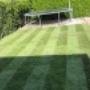 grasmatten