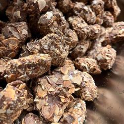 Les Pralines de Chimay