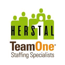 TEAM-ONE EMPLOYMENT SPECIALISTS