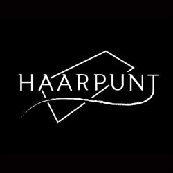 Haarpunt