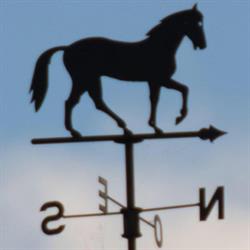 La Ferme Équestre de Louvain la Neuve