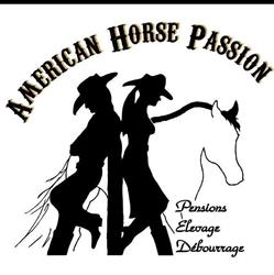 American Horse Passion