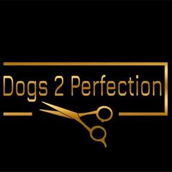 Trimsalon Dogs 2 Perfection