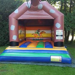 multi-play