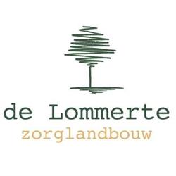 De Lommerte