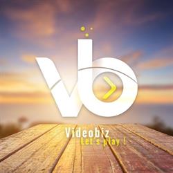 Videobiz