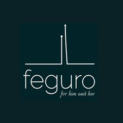Feguro