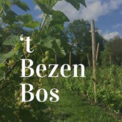 't BezenBos
