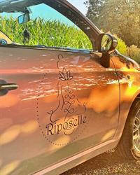 Riposelle
