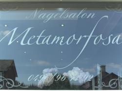 Metamorfosa