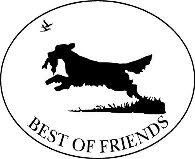 Best Of Friends Vzw