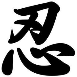 Bujinkan Ry?zoku Dojo Mechelen