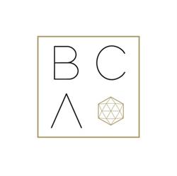 Beauty-Case Aesthetics