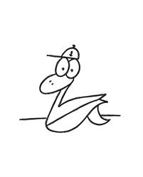 Duck's Surfshop