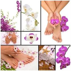 Des Pieds Et Des Mains