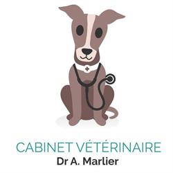 Abivet - Vétérinaire Marlier Kambia