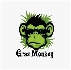 Kunstgras Grasmonkey