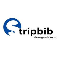 Stripbib 9de Kunst
