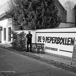 De 9 Peperbollen