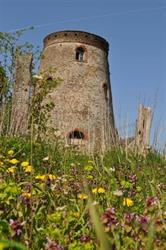 Groenhagemolen