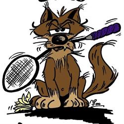 Badminton Club Louvierois ASBL