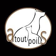 Atout Poils
