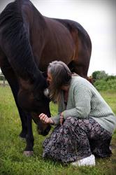Latfinga - Home of Healing Horses (coaching en natuurtherapie voor mens & dier)