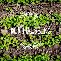 Den Halsberg