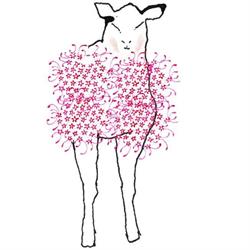 Textiellabo