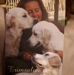 Hondensalon Goldy, Animaux, Soins
