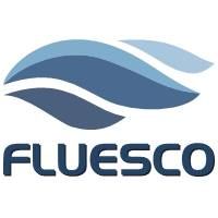 FLUESCO Informatique