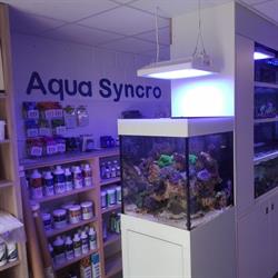 Aqua Syncro