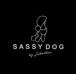 Sassy dog by Sebastian