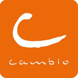 Cambio Brussels (Optimobil Bruxelles - Optimobil Brussel - Optimobi)