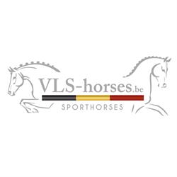 VLS Horses