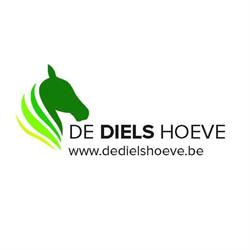 de Dielshoeve
