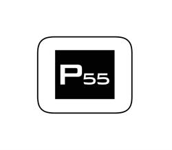 Project 55