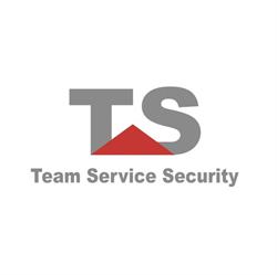Team Service Security