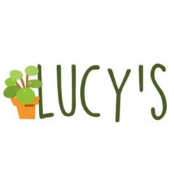 Lucy's Living