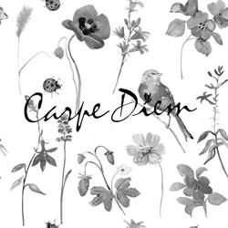 Boutique Carpe Diem tournai