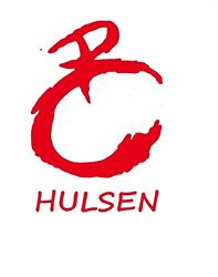 Chiro Hulsen