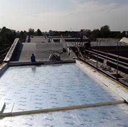 D. M. Roof