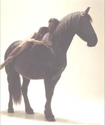 SL-Stable