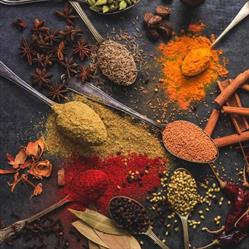 Masala Express