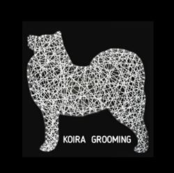 Koira grooming