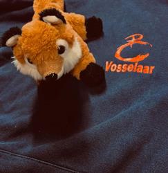 Chiro Vosselaar