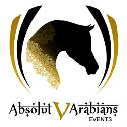 Absolut V Arabians Events