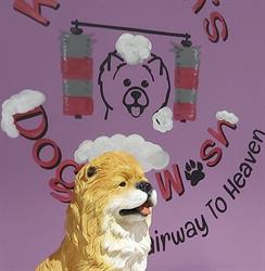 Kathleen's Doggie Wash