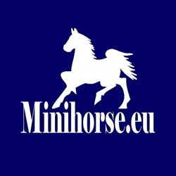 Minihorse.eu