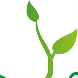Groenservice Verhaevert